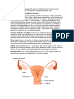 Sistema Reproductor Femenino y Masculino