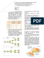 TALLER N°1 C. Naturales-Rep Celular