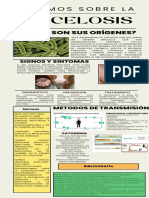 Infografía de Periódico Moderno Ordenado Colorido