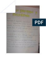 Trabajo de Sociales de Maria Fernanda Aragon 7ma