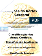 Funções Do Córtex Cerebral