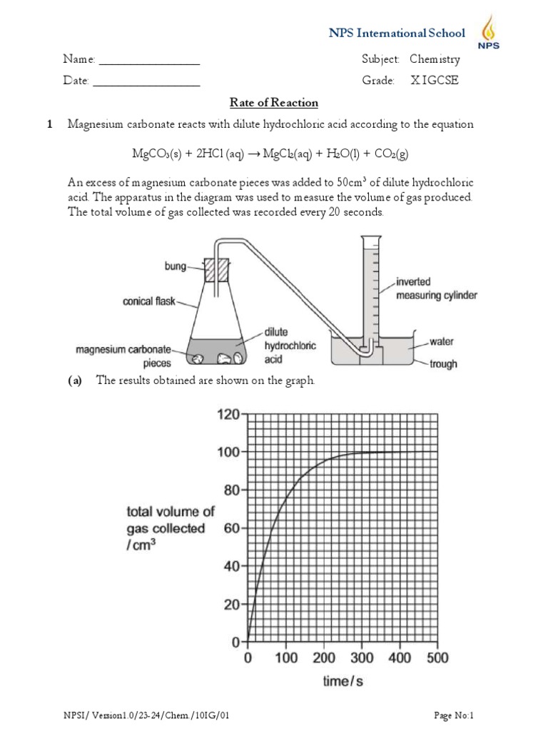 Chemistry Reaction Rates Guide | PDF | Chemical Reactions | Magnesium