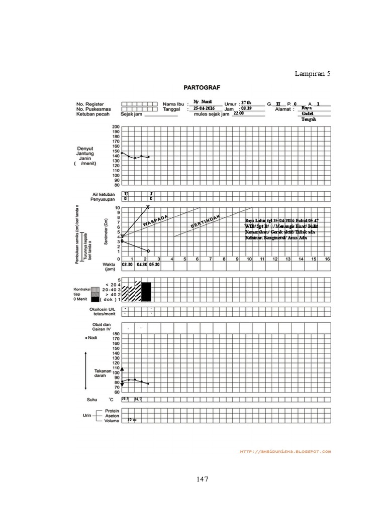 Format Partograf | PDF