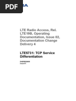 Lte5731 - TCP Service Differentiation