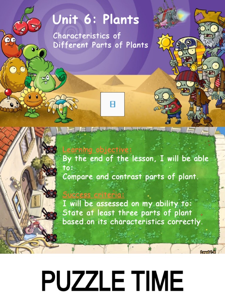 Unit 6 Plants | PDF