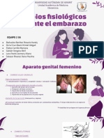 Presentación Power Point Cambios Fisiologicos en El Embarazo