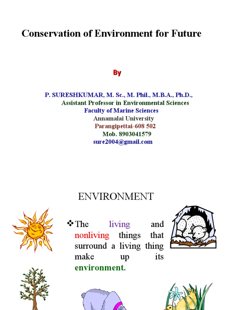 Environmental Conservation Strategies | PDF | Ecosystem | Food Web