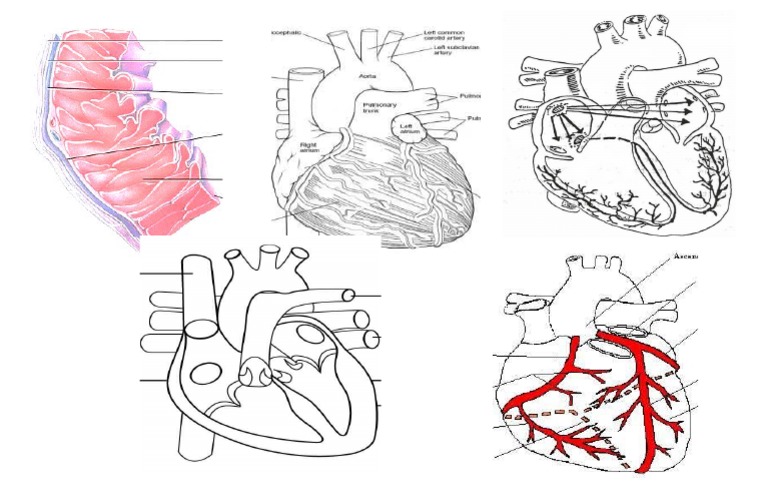 Activity 7 | PDF