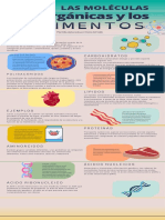 Infografia, Proteínas y Ácidos Núcleicos