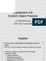 Uygulamanın Adı: Endokrin Sistem Patolojisi: DR Serpil Dizbaysak Aütf Tıbbi Patolojiabd