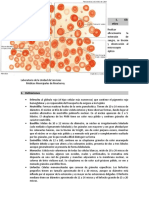 P. Analitico FSP