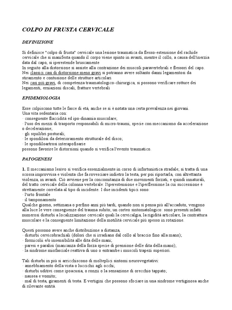 Il Colpo Di Frusta | PDF
