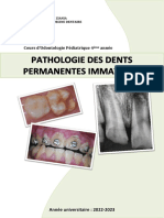 6.pathologie Des Dents Permanentes Immatures