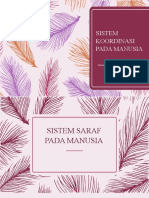 Sistem Koordinasi Pada Manusia