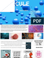 Proiect Chimie-Molecule