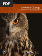 Molecular Cloning Technical Guide | PDF | Molecular Cloning ...