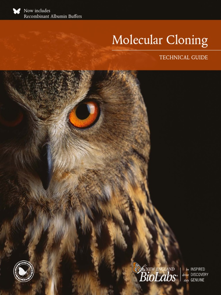 Molecular Cloning Technical Guide | PDF | Molecular Cloning | Plasmid