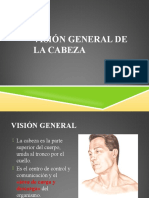 Visión General DE LA CABEZA
