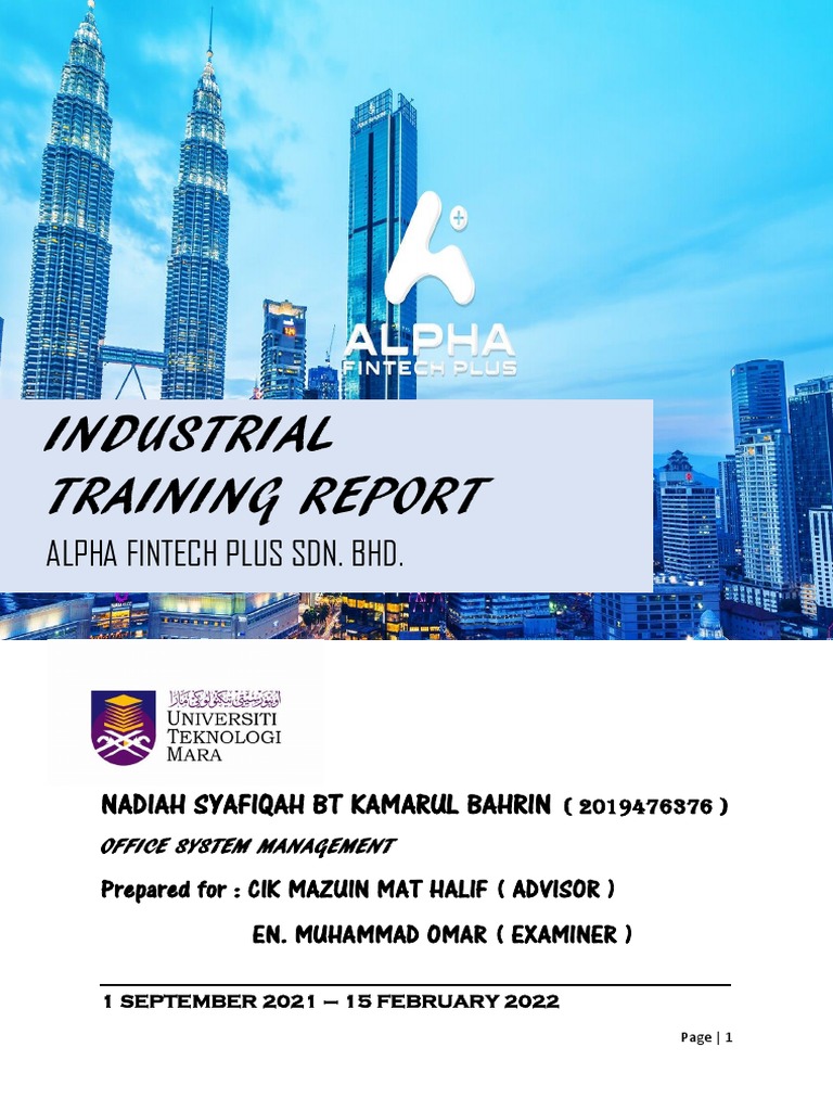 Internship Report PDF Computer Security Security