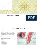 Dokumen - Tips PPT Anatomi Mata