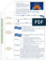 Adaptaciones Respiratorio