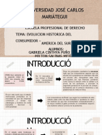 Evolucion Historica Del Consumidor - America Del Sur