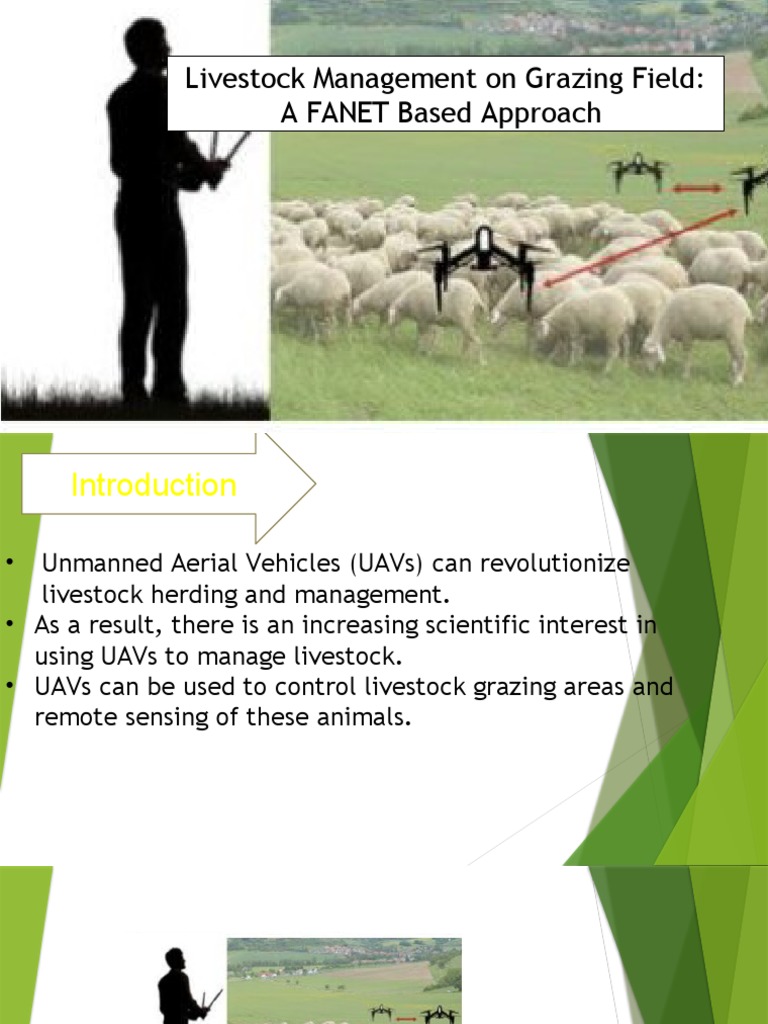 Livestock Management PDF Unmanned Aerial Vehicle Deep Learning