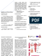 Triptico Cancer de Cuello Uterino Programa Oncologia