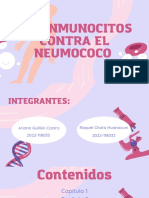 Inmunocitos Contra El Neumococo - Ariana Guillén Castro y Raquel Chata Huanacuni