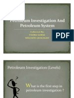 Petroleum Investigation and Petroleum System