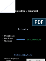 2.patologia Pulpar y Periapicalppt