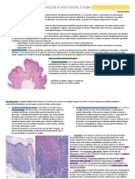 Patología Del Tracto Genital Femenino