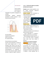 Anatomia Periodontal