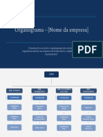 Organograma - Estrutura de Cargos