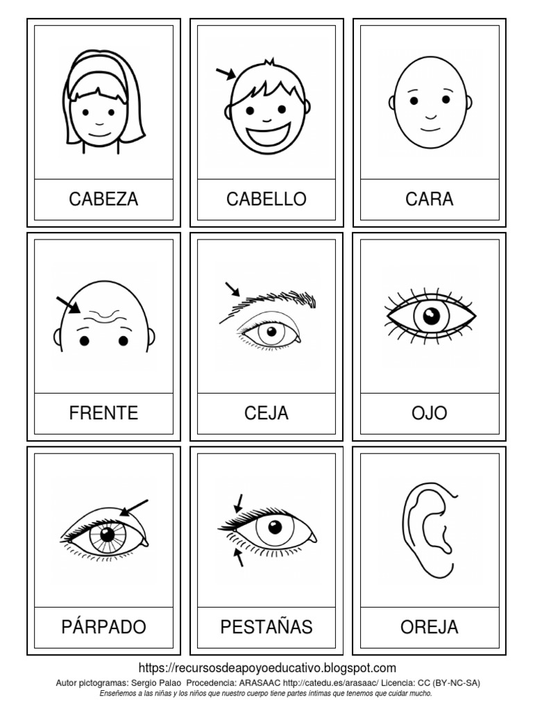 Educación sobre partes íntimas infantiles | PDF | Anatomía humana