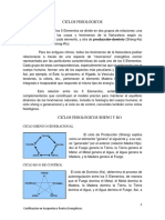 Los Fundamentos de La Medicina China (21847)