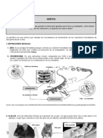 Sesion 19 Genetica