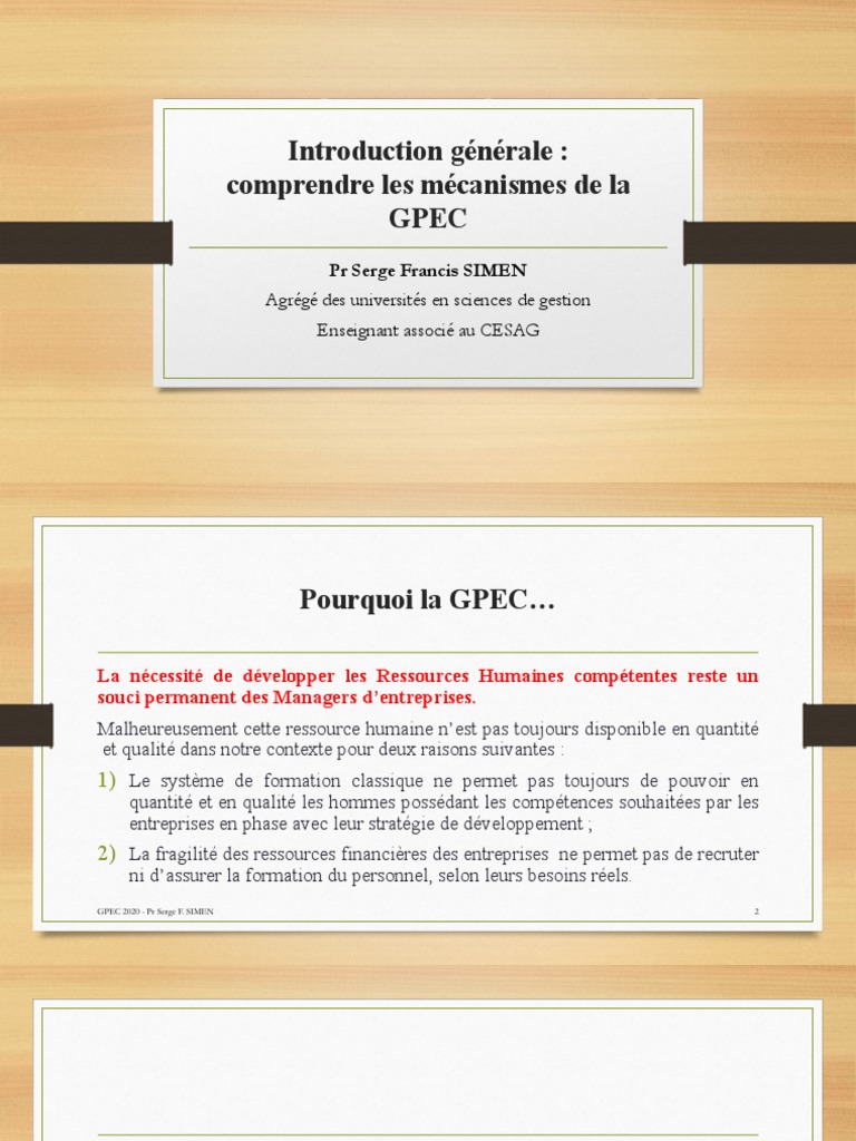 Comprendre la GPEC et ses enjeux | PDF | Gestion des ressources ...