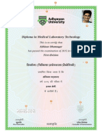 Digital Records Certificate