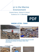 SierraClub Marine Litter Presentation