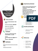 14 - CV Formato Editable. - 015634