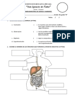 EXAMEN BIMESTRAL CyA 5to B Grado 1er Bimestre