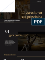 Derecho en Sus Principios