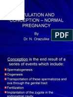 Ovulation and Conception - Normal Pregnancy