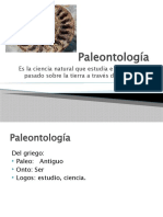 Paleontología Unidad 1