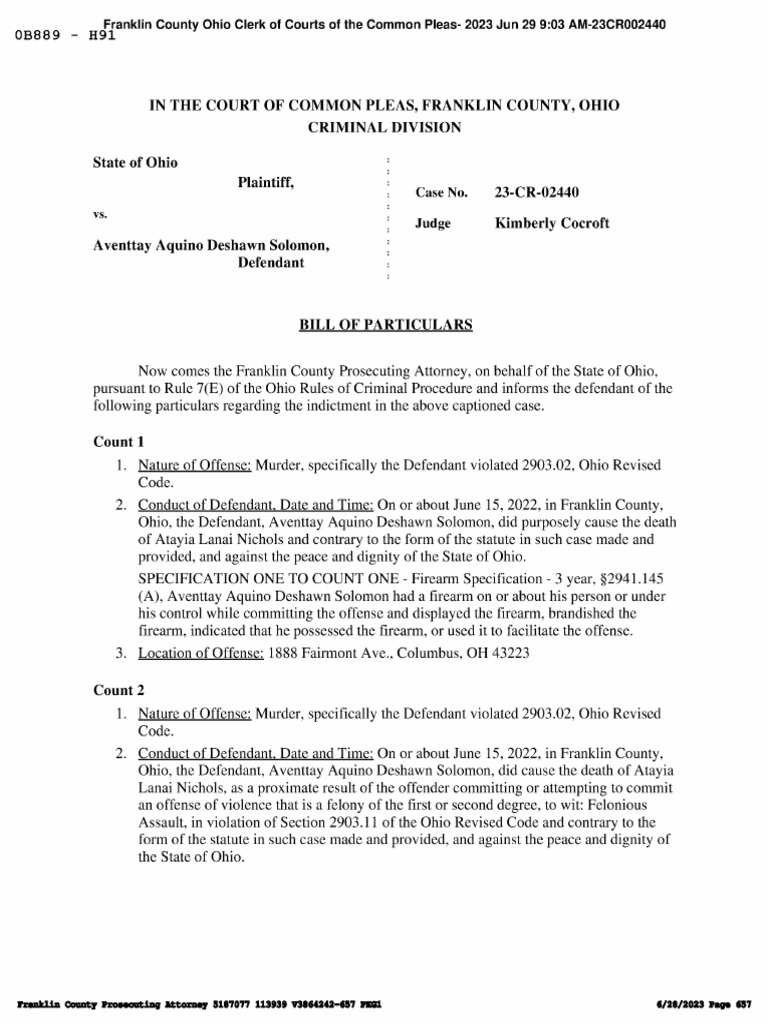 Bill of Particulars PDF