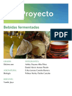 Bebidas Fermentadas Por WP