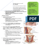 Semiología Cuello Resumen