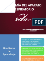 Anatomía Del Aparato Respiratorio