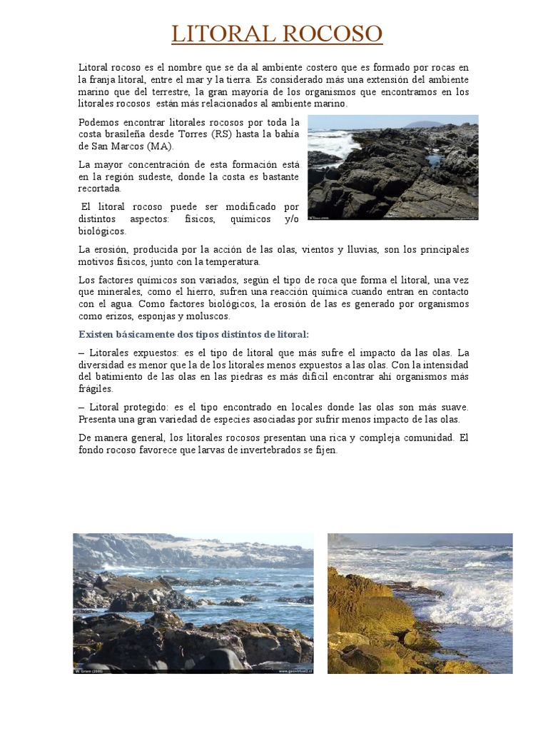 Definición de litoral rocoso | PDF